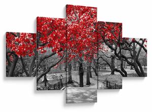 Obraz - Červené stromy, Central Park, New York (125x70 cm)