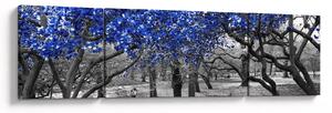 Obraz - Modré stromy, Central Park, New York (170x50 cm)