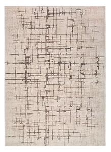 Krémový koberec 80x120 cm Ceres – Universal