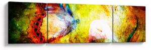 Obraz - Kosmický motýl (170x50 cm)