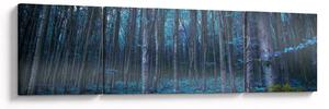 Obraz - Magický les (170x50 cm)
