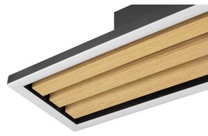 Brilliant - LED Stmívatelné stropní svítidlo CALMA LED/15W/230V černá