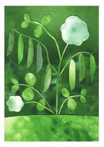 Plakát 50x70 cm Peas in Bloom – Anna Ravn Bjørn – The Poster Club