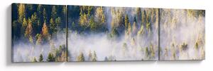 Obraz stromů v mlze (170x50 cm)