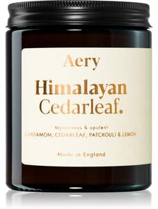 Aery Fernweh Himalyan Cedarleaf vonná svíčka 140 g