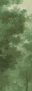 Vliesová fototapeta na zeď, les, stromy, DG4WOO1021-260, Wall Designs IV, Khroma by Masureel