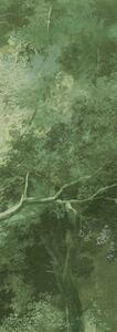 Vliesová fototapeta na zeď, les, stromy, DG4WOO1024-260, Wall Designs IV, Khroma by Masureel
