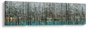 Obraz - Tyrkysový rybník, Biei, Japonsko (170x50 cm)