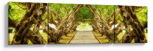 Obraz - Živý tunel z plumérií (170x50 cm)
