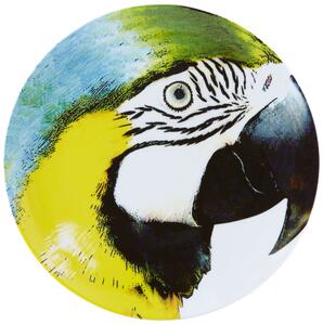 Vista Alegre Olhar o Brasil Podkladový talíř Yellow Bellied Macaw