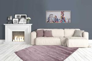 Lalee Kusový koberec Softtouch 700 Pastel Purple Rozměr koberce: 80 x 150 cm