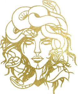 Obraz na zdi msdúza žena - MEDUSA GORGONA 4091 PR0423