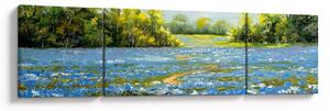 Obraz - Cestička v poli, olejomalba (170x50 cm)