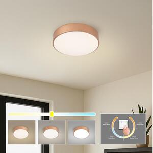 Brilagi - LED Stropní svít.POOL LED/24W/230V 3000/4000/6000K pr. 20 cm bronzová