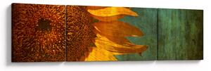 Obraz - Slunečnice (170x50 cm)