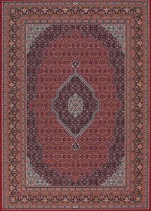 Breno Kusový koberec DIAMOND 72220/300, Červená, Vícebarevné, 67 x 130 cm