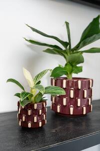 Ter Steege Obal Inez Burgundy D8 H7