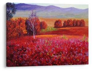Obraz červené krajiny (70x50 cm)