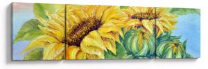 Obraz rozkvetlých slunečnic (170x50 cm)