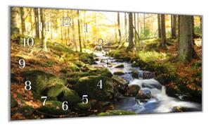 Nástěnné hodiny řeka v lese příroda 30x60cm - plexi