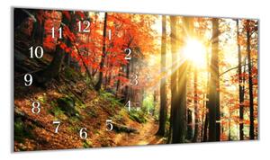 Nástěnné hodiny les podzimní příroda 30x60cm - plexi