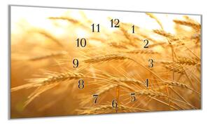 Nástěnné hodiny klasy pšeničné pole 30x60cm - plexi