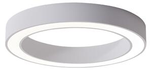 Azzardo AZ5031 - LED Stmívatelné stropní svítidlo MARCO LED/50W/230V bílá + DO