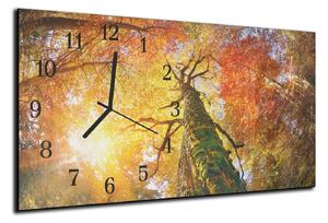 Nástěnné hodiny koruna stromu podzim 30x60cm - plexi