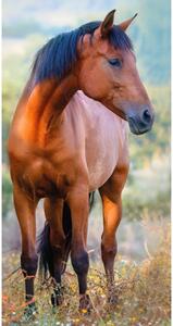 Bavlněný froté ručníček 30x50 cm - Kůň Hnědák na louce