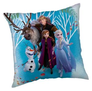 Fleecový dětský polštářek Frozen "Family" – Jerry Fabrics