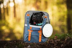 Vsepropejska Sil protihltací cestovní miska pro psa Barva: Oranžová