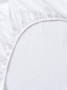 Sinsay - Napínací prostěradlo z bavlněného jersey s gumou - bílá