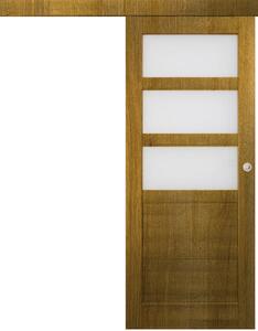 Posuvné interiérové dveře na stěnu vasco doors BRAGA model 4 Průchozí rozměr: 70 x 197 cm