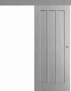 Posuvné interiérové dveře na stěnu vasco doors FARO plné model 6 Průchozí rozměr: 70 x 197 cm