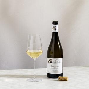 Květná 1794 ručně foukané skleničky na bílé víno Auriga 420 ml 2KS