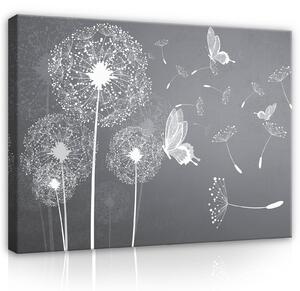 Obraz na plátně: Pampelišky a motýli - 75x100 cm