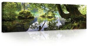 Obraz na plátně: Lesní tůně - 145x45 cm