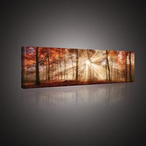 Obraz na plátně: Lesní rozbřesk - 145x45 cm