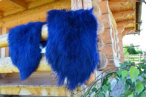 Islandská ovčí kožešina modrá rozměr: XL 101-120 x61-80 cm