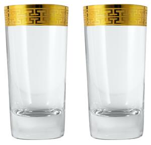 Zwiesel Glas Hommage Gold Classic sklenice na longdrink malá, 2 kusy