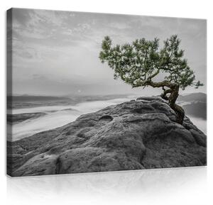 Obraz na plátně: Vrcholek (3) - 75x100 cm