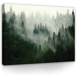 Obraz na plátně: Mlha nad lesem (1) - 100x75 cm