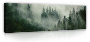 Obraz na plátně: Mlha nad lesem (1) - 145x45 cm