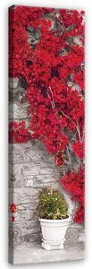 Obraz na plátně: Červená květinová zeď - 145x45 cm