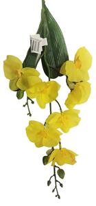 Orchidea větev 