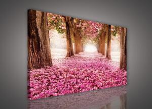 Obraz na plátně: Rozkvetlá alej (1) - 75x100 cm