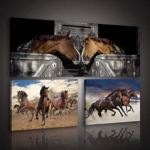 Obraz na plátně: Koně (1) - set 1ks 80x30 cm a 2ks 37,5x24,8 cm