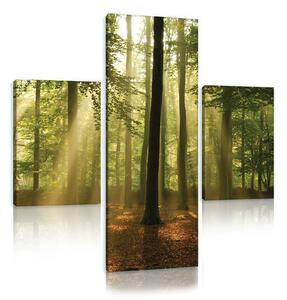 Obraz na plátně: Slunce v lese (4) - set 1ks 80x30 cm a 2ks 37,5x24,8 cm