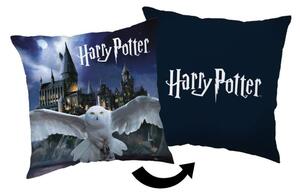 Mikroplyšový polštářek Harry Potter HP246 Polyester, 35/35 cm