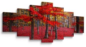 Obraz - Červený les (210x100 cm)